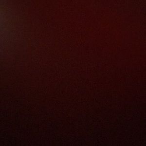 Meet your Posher, Summer